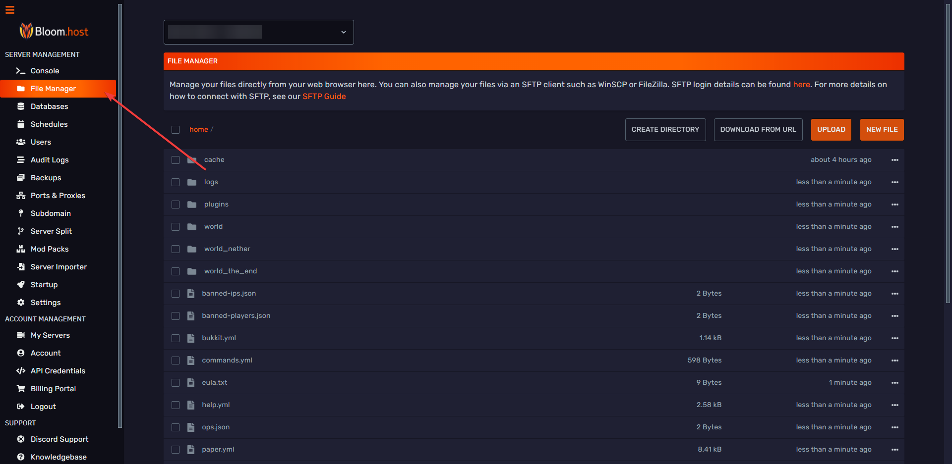 DuckPanel File Manager open for the server