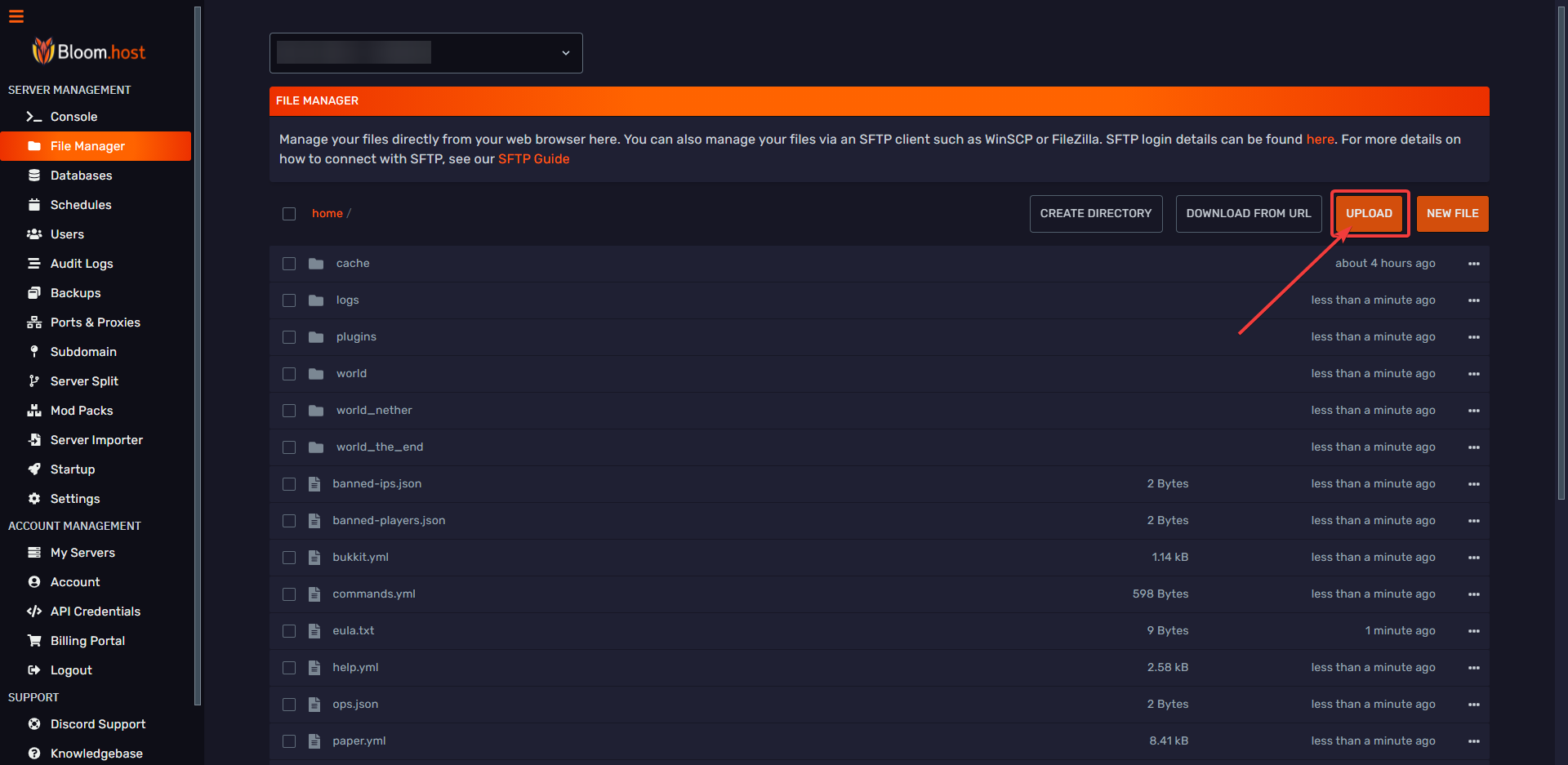 File Manager showing the uploaded server-icon.png file
